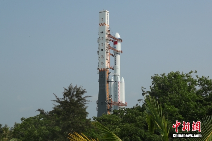 圖為轉(zhuǎn)運(yùn)現(xiàn)場。攝影 邱立軍 黃國暢