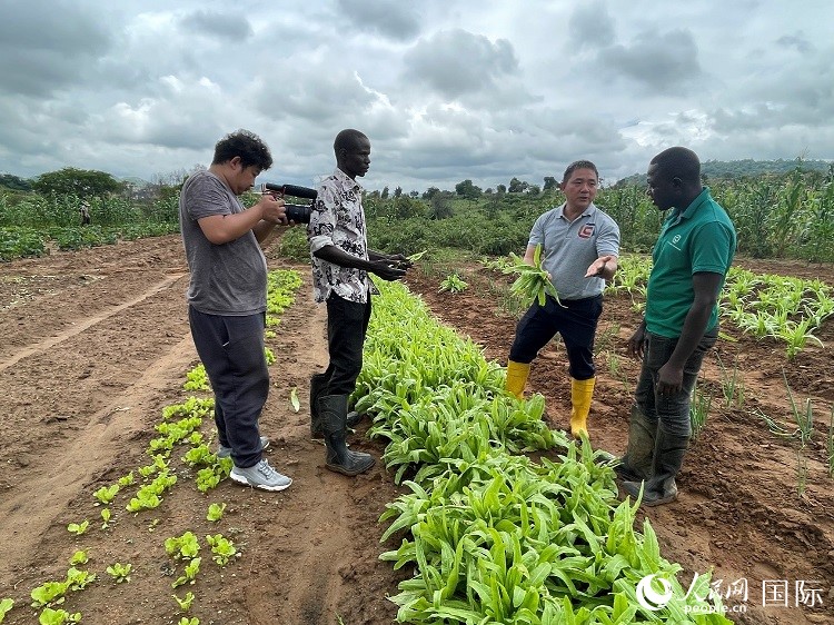 人民網(wǎng)記者走進(jìn)尼日利亞農(nóng)業(yè)技術(shù)示范中心。人民網(wǎng)記者 趙艷紅攝