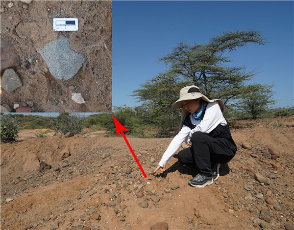 地層中的勒瓦婁哇石片。中肯聯(lián)合考古隊供圖