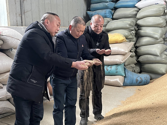 桃江種糧大戶與農(nóng)村農(nóng)業(yè)局技術(shù)人員正在查看春耕種子情況。受訪單位供圖