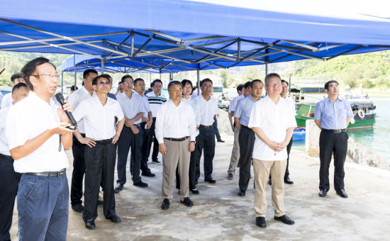 2019年6月21日上午，省長沈曉明率省政府班子成員在三亞鐵爐港調研項目規(guī)劃建設情況。海南日報記者 宋國強 攝