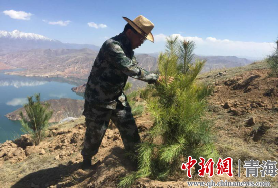 圖為尖扎干部職工生態(tài)建設(shè)和環(huán)境保護(hù)現(xiàn)場(chǎng)。尖宣 供圖