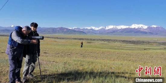 圖為工作人員正在進行黑頸鶴衛(wèi)星跟蹤和環(huán)志工作?！∑钸B山國家公園青海省管理局供圖 攝