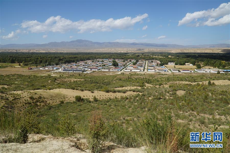 （決戰(zhàn)決勝脫貧攻堅(jiān)·圖文互動(dòng)）（2）高原鄉(xiāng)鎮(zhèn)沙珠玉 治沙斗貧成“綠?！薄嗪Ｊ」埠涂h沙珠玉鄉(xiāng)采訪見(jiàn)聞