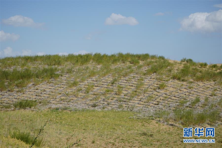 （決戰(zhàn)決勝脫貧攻堅(jiān)·圖文互動(dòng)）（3）高原鄉(xiāng)鎮(zhèn)沙珠玉 治沙斗貧成“綠?！薄嗪Ｊ」埠涂h沙珠玉鄉(xiāng)采訪見(jiàn)聞