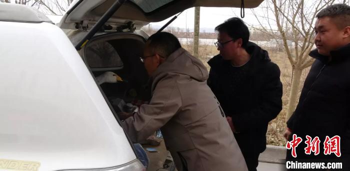 圖為民警救助國家二級保護(hù)動物——大天鵝。青海省公安廳森林警察總隊(duì)供圖