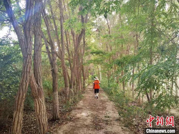 戈壁灘上的護林員：以前風吹睜不開眼，現(xiàn)在滿眼皆綠色
