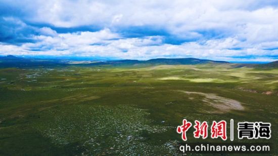 圖為長江南源沼澤濕地。李江寧攝