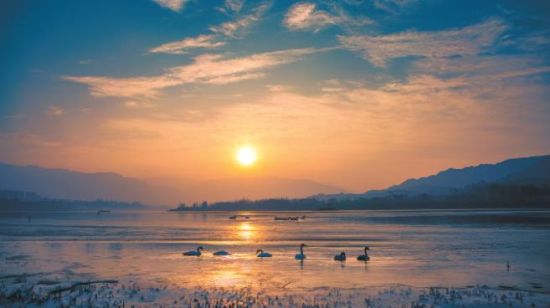 黃河冬之晨。