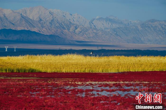 圖為柴達(dá)木盆地可魯克湖?！」?攝