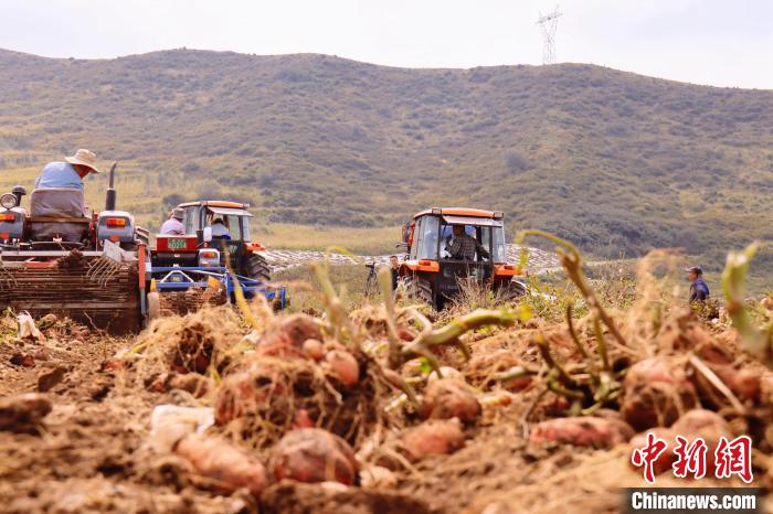 青海東部農(nóng)業(yè)區(qū)：“一分川、一分水、八分山”里“刨金記”