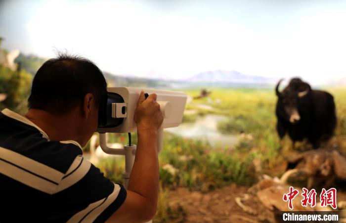 圖為臺商觀看祁連山國家公園生態(tài)科普館內(nèi)生態(tài)場景?！⊙Φ?攝