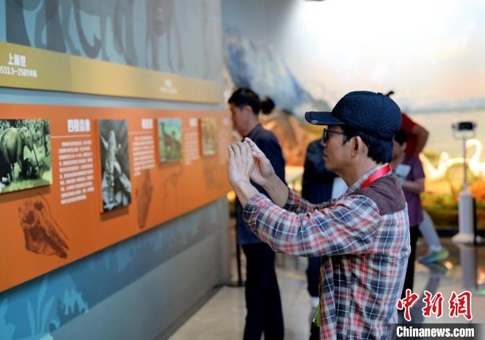 圖為臺商在祁連山國家公園生態(tài)科普館觀看墻面藝術圖文。　薛蒂 攝