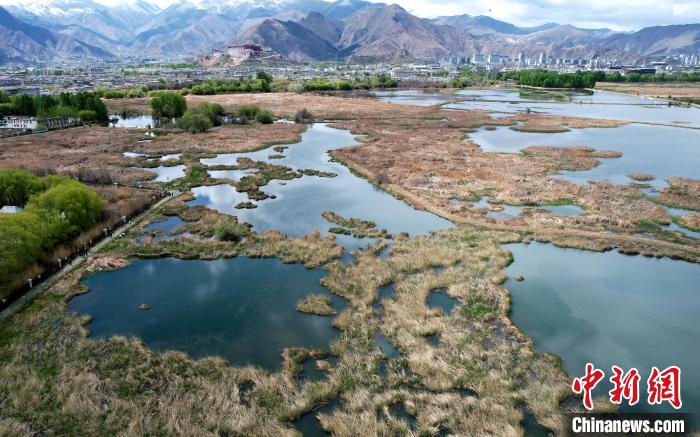 圖為拉薩拉魯濕地。(無人機照片) 李林 攝