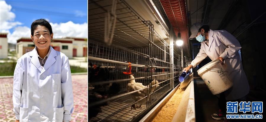 (脫貧攻堅·圖片故事)(6)雪域高原脫貧影像志