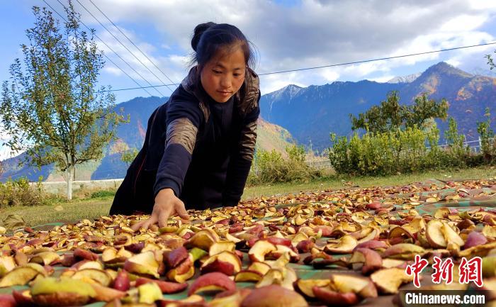 圖為通麥村村民巴桑拉姆晾曬切片蘋果?！∝暽＠?攝