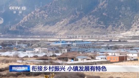 種蘑菇、養(yǎng)駱駝...。。特色產(chǎn)業(yè)助力鄉(xiāng)村振興走新路