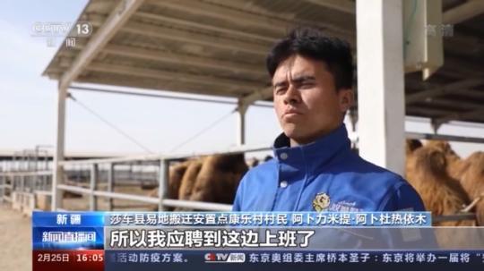 種蘑菇、養(yǎng)駱駝...。。特色產(chǎn)業(yè)助力鄉(xiāng)村振興走新路