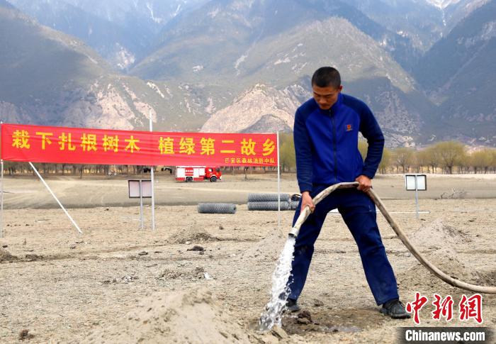 林芝市巴宜區(qū)森林消防中隊志愿服務隊澆水灌溉?！∥骼@拉翁 攝