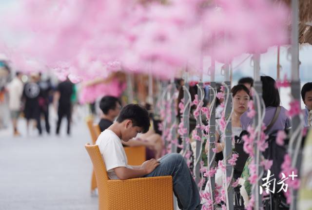 崖口村東堤靠近海岸，成為了熱門(mén)打卡休閑地點(diǎn)。