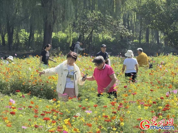 何以中國·理想都城|數(shù)字化技術再現(xiàn)圓明園昔日輝煌盛景