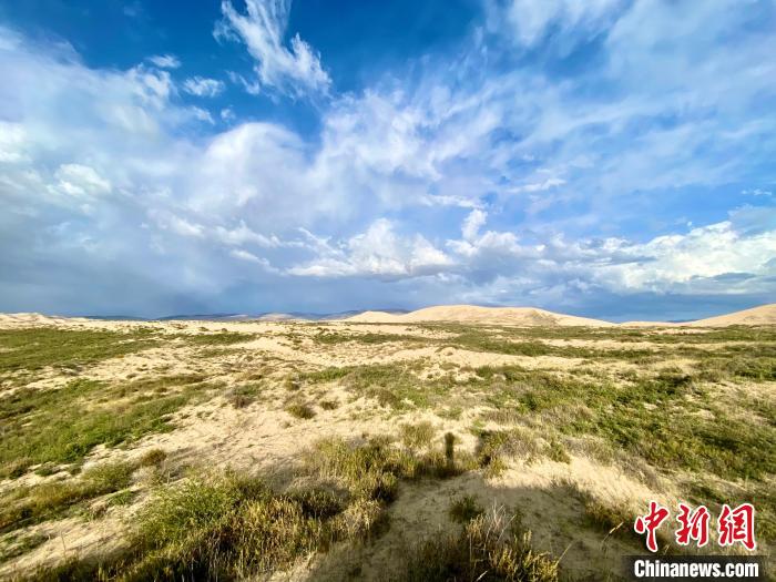 圖為關(guān)停四年后的沙島景區(qū)現(xiàn)狀。　李江寧 攝