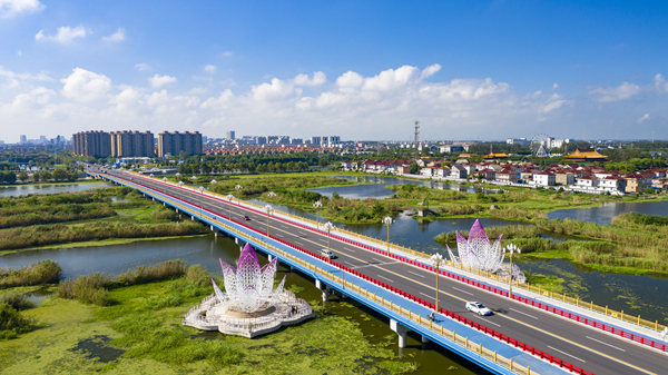 從興化城區(qū)長安路延伸至菜花大道的“千垛美路”。周社根攝